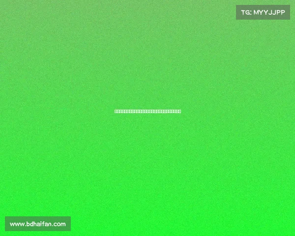 聚焦权健赛事评论权健事件全纪实深度剖析兴衰历程社会影响